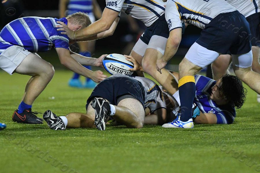 Wheaton Men\'s Rugby vs Mass Maritime.  Photo by Keith Nordstrom